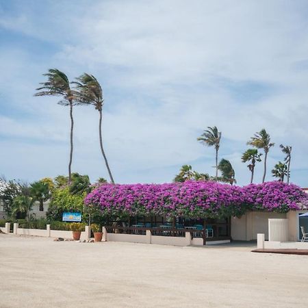 פאלם ביץ' Aruba Beach Villas מראה חיצוני תמונה