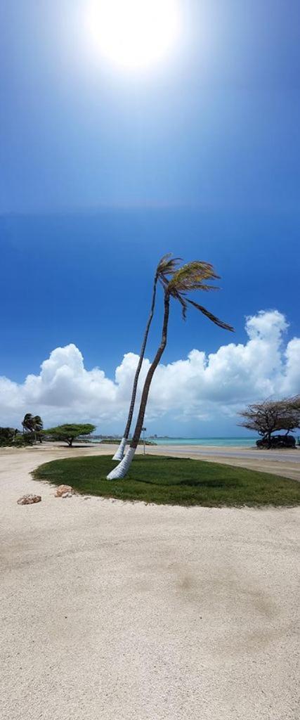 פאלם ביץ' Aruba Beach Villas מראה חיצוני תמונה