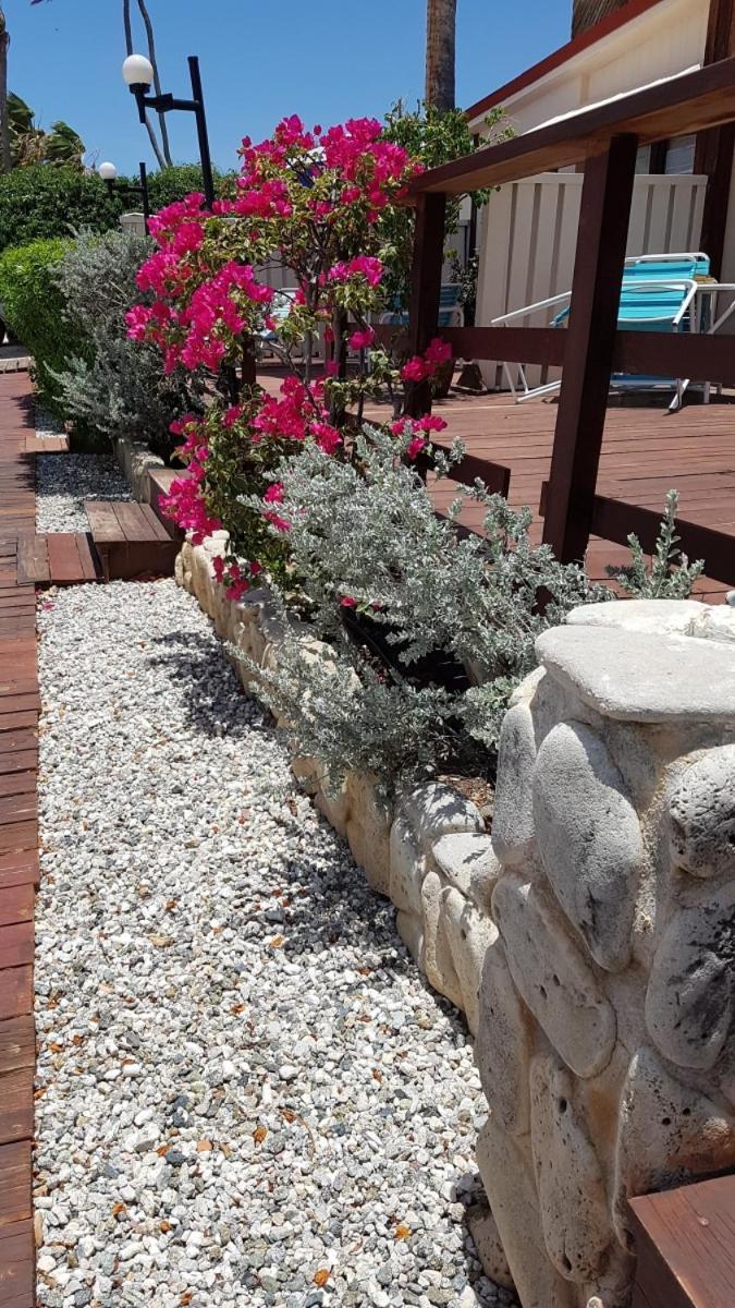פאלם ביץ' Aruba Beach Villas מראה חיצוני תמונה