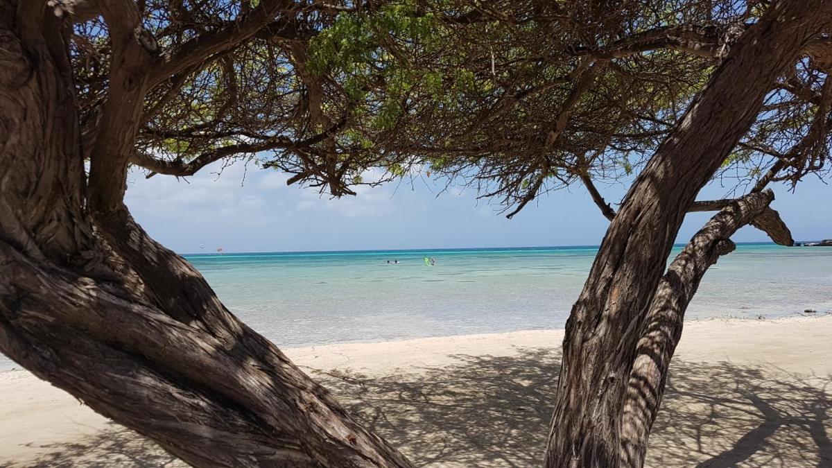 פאלם ביץ' Aruba Beach Villas מראה חיצוני תמונה
